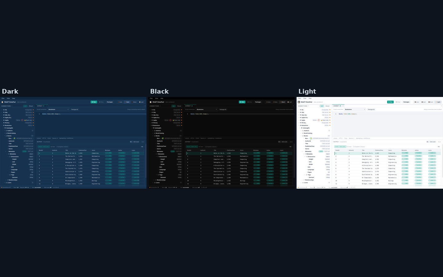 WebF1 DataPad shown in the Dark, Black and Light themes with an accent colour applied to the grid